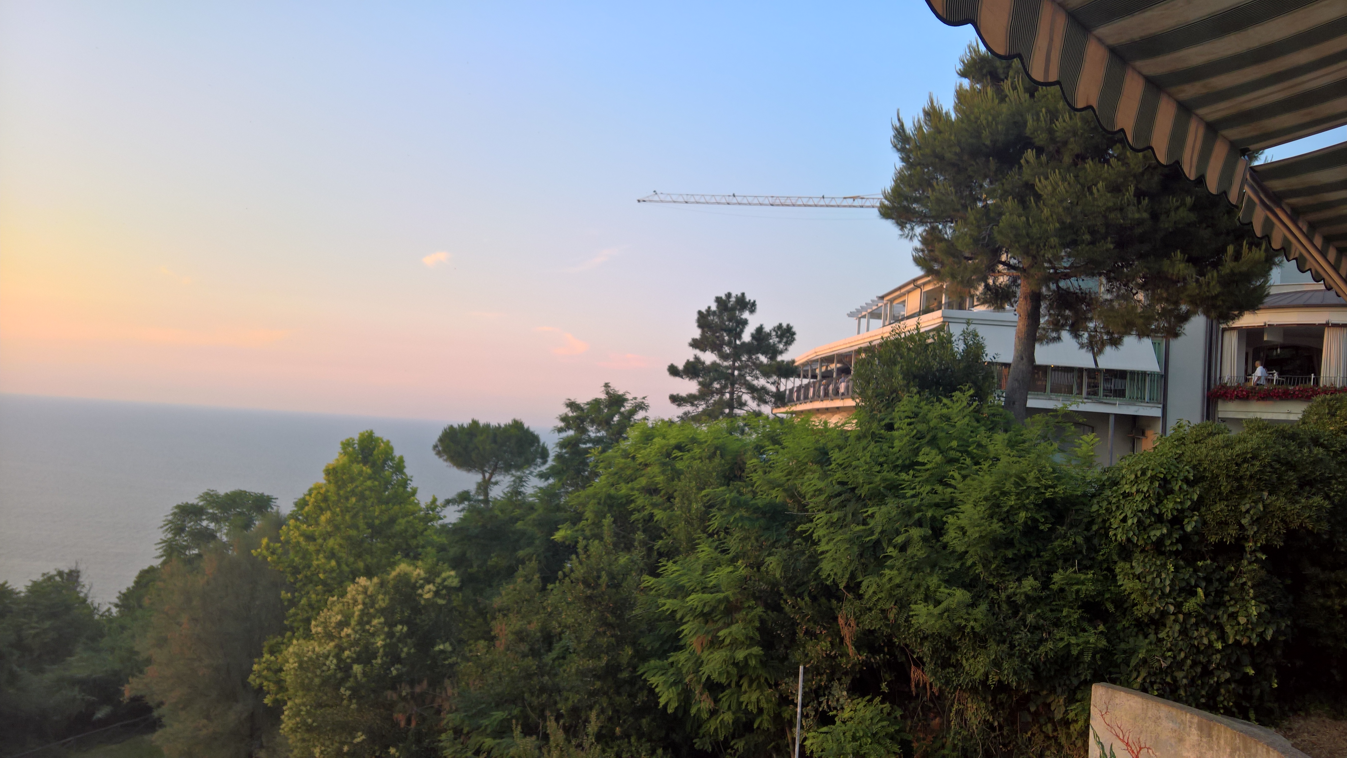 WP 20170615 20 25 29 Rich